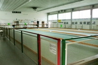 Clicca sulla foto per vedere ingrandimento
